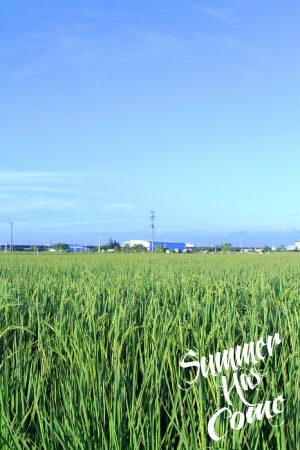 ～夕陽無限好～