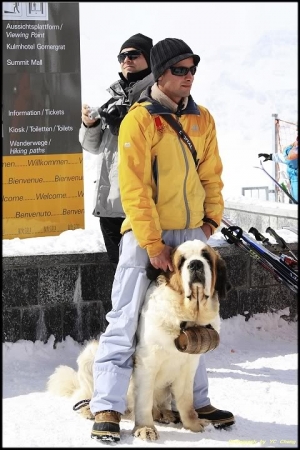 3000公尺以上的MODEL