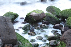 推一下美麗的高雄