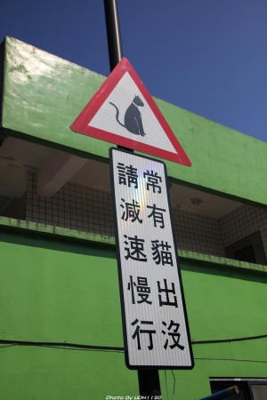 侯硐貓村~喵的咧^^