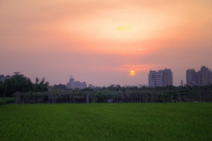 家裡附近的夕陽