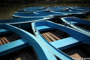 台中中山公園隨拍