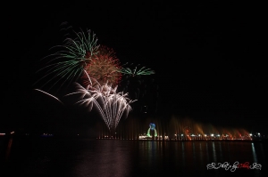 2009高雄燈會-犇牛迎世運‧高雄愛幸福