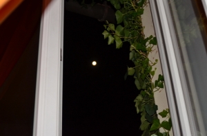 2011/9/10 Europe  外國月亮比較圓  D7000+28-300