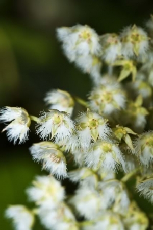 台中都會公園 之『夕陽』