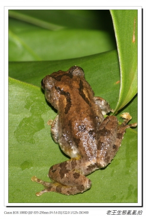 來看看小日本！！