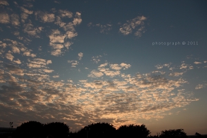 給 我 晴 天 - - 60D+15-85mm 初拍
