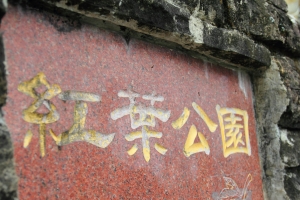 楓葉沒拍到.卻見滿山蝴蝶