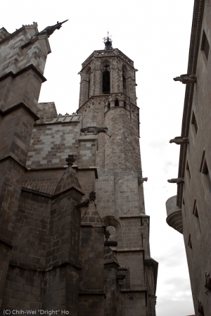 巴塞隆納遊記 Part III: 老市中心及Montjuic