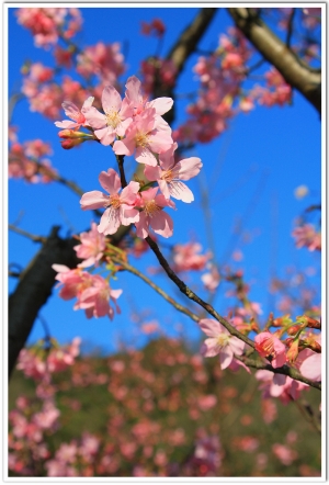 test 1