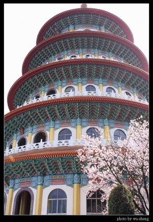 2008天元宮拍櫻花