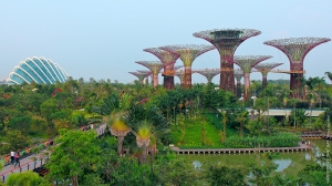 Gardens by the Bay (1)
