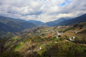 2012 武陵賞楓尋景