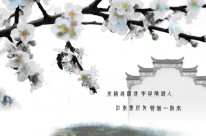 士林區志成公園 冬梅~~