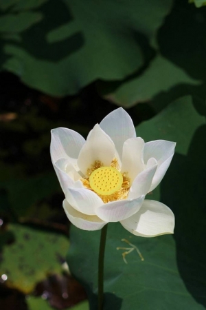 我在金門天氣晴