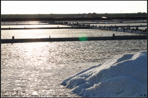 7/22井仔腳瓦盤鹽田