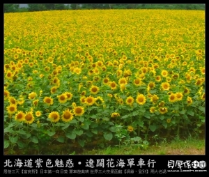北海道 夏天【吃喝玩樂‧HIGH翻天】上集