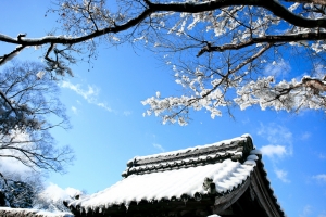 雪色．京都大原