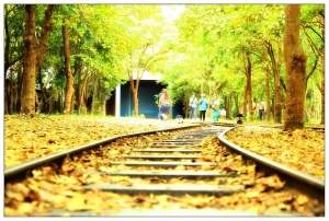 都市叢林的靈淨