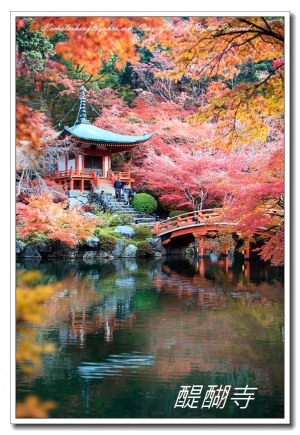 醍醐寺 - (2013/11/24 攝)