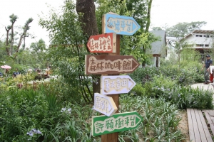 薰衣草森林--明德水庫