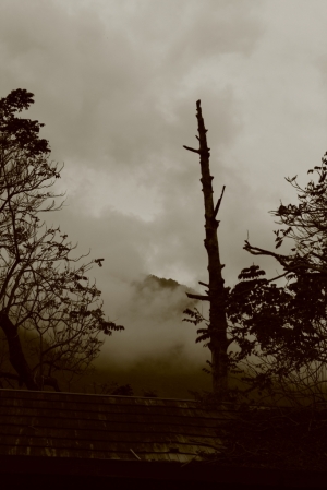 山水畫