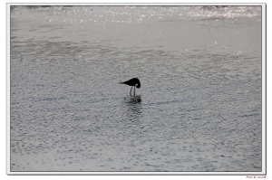 今天到處走走  隨拍分享