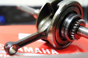 我的戰友退休了