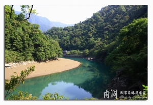 內洞森呼吸