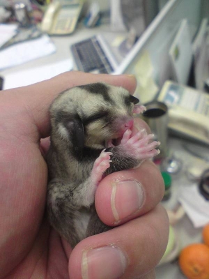 台北四日遊-非常遲來的台北新車大展篇