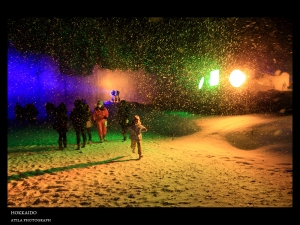 2010.北海道.HOKKAIDO.雪之戀