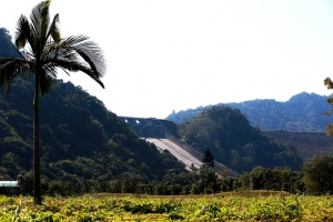 ★★小白兔石門水庫逍遙賞楓遊★★ _ jyp.