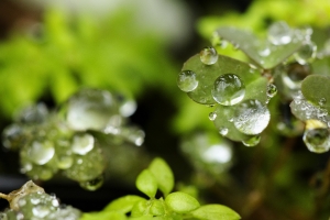 雨後的日落