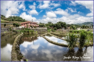 2012 杰克的隨拍 (55) 對不起, 我又打混了...