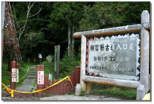 新中橫特富野櫻花