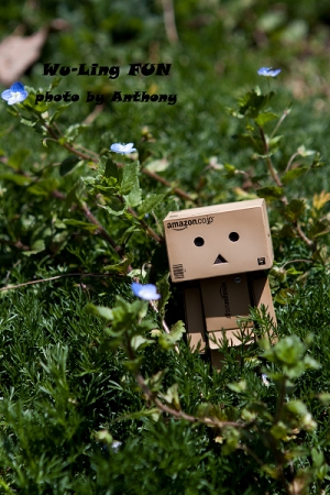 與女王的武陵之旅