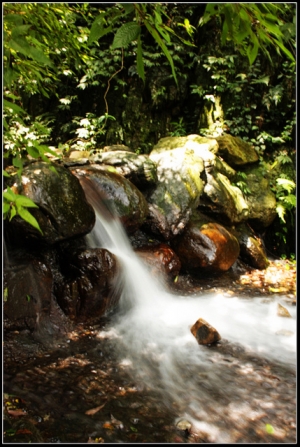 三峽牛角坑隨拍