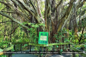 昆蟲練拍--芝山文化生態綠園--BY好攝客