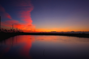 〔6.06〕端午晨、日、昏