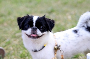 1010923美麗無雙在衛武營