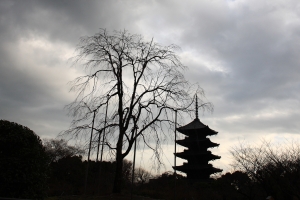 夕照東寺