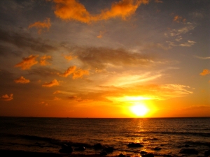 幾度夕陽紅(歌詞版)