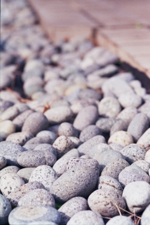 § 隨 風 菲 林 §