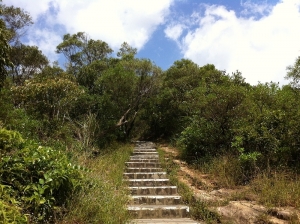 北投.軍艦岩 丹鳳山