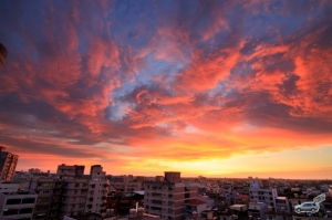 8/12又出景啦...燒很大..