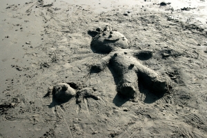 騎小破爛125機車到外埔漁港