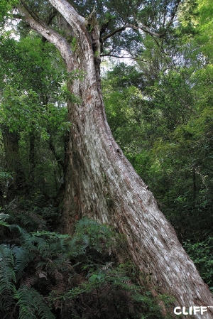 熱血去~騎車去拉拉山