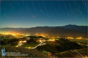 花蓮六十石山金針花