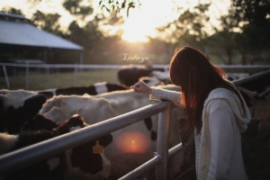 東海牧場 。 YUSHU