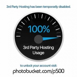 ~~遲交作業趴兔!!佩詩第三套!!婚紗!!~~